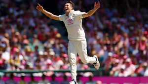 将以强大的 将以强大的